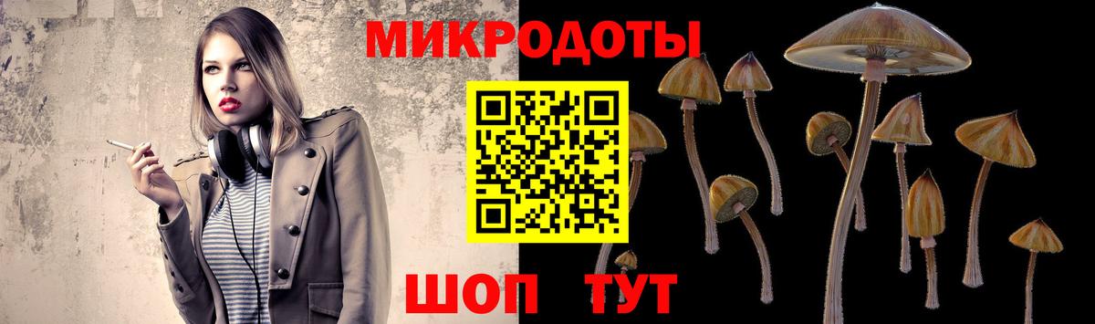 Галлюциногенные грибы Psilocybe Сергиев Посад