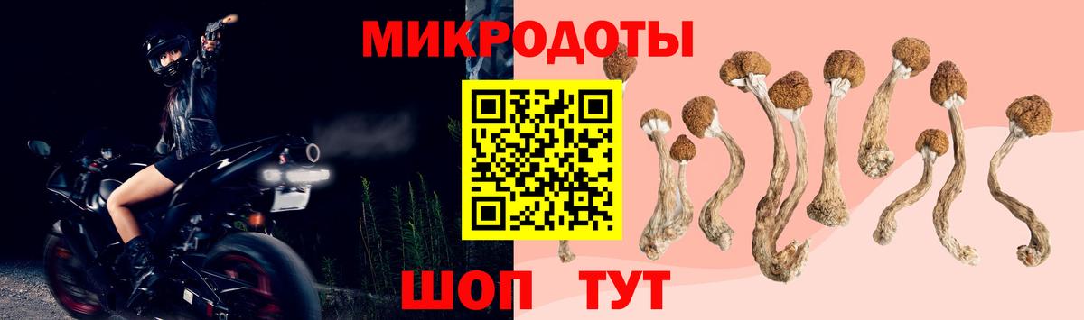 Псилоцибиновые грибы Cubensis  Вход с VPN  Сергиев Посад 